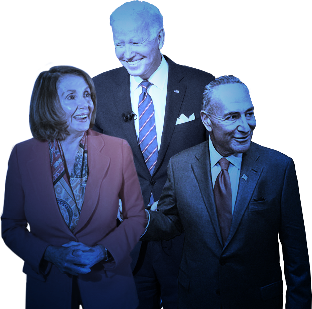 Establishment Democrats: Joe Biden, Nancy Pelosi, Chuck Schumer