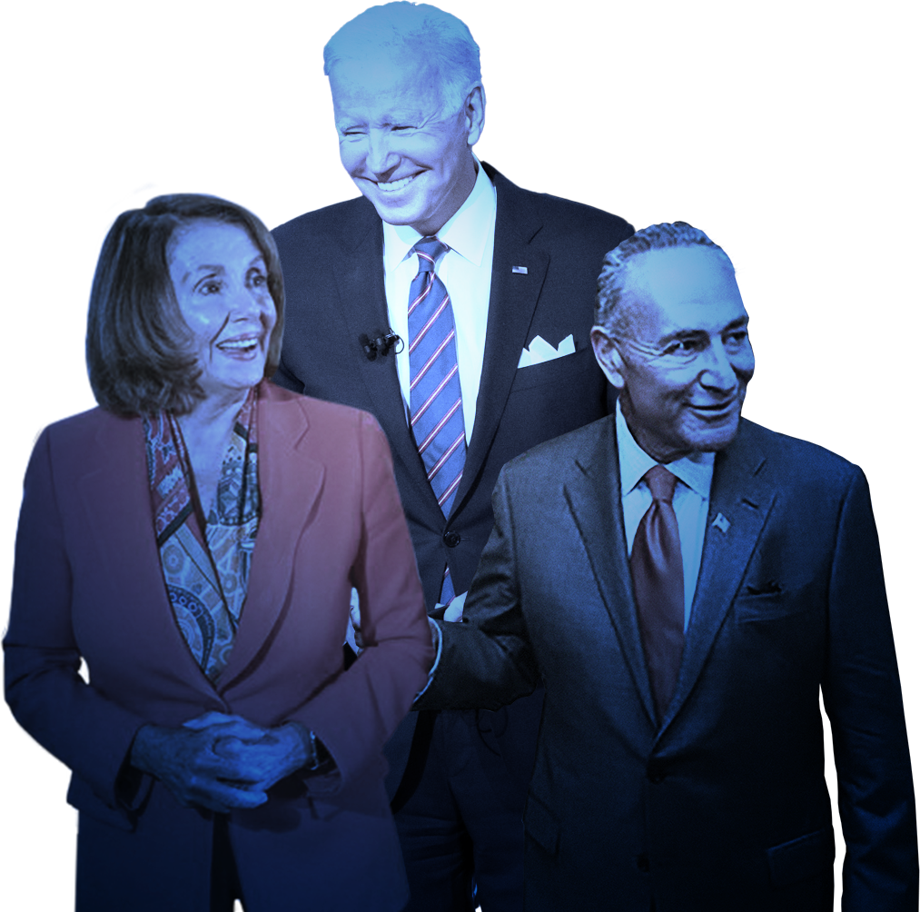 Establishment Democrats: Joe Biden, Nancy Pelosi, Chuck Schumer